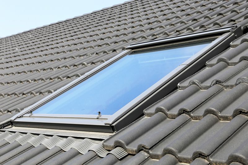 Skylight Screen Repair